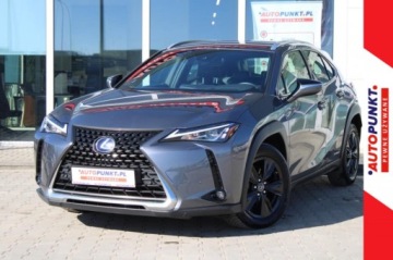 Lexus UX Crossover 250h 184KM 2021 Lexus UX Business Line +
