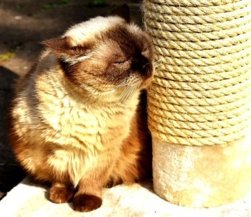 LINA JUTOWA KRĘCONA DEKORACJA SZNUR JUTOWY 36mm 5m