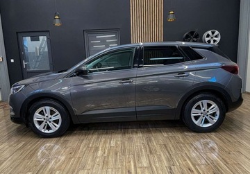 Opel 2019 Opel Grandland X 130 KM manual BEZWYPADKOWY gwarancja ZAREJESTROWANY, zdjęcie 10