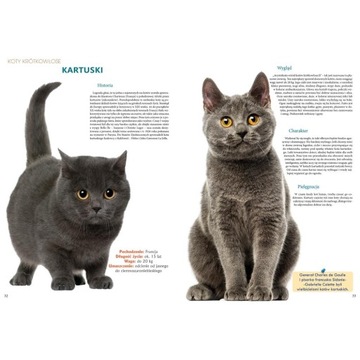 КОШКИ ПОРОД СО ВСЕГО МИРА 40 пород БОЛЬШОЙ АЛЬБОМ