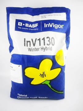 Rzepak ozimy nasiona hybryda InVigor 1130 Lumiposa