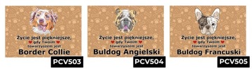 TABLICZKA PCV CIEMNO BRĄZOWY ŻYCIE JEST PIĘKNE CHOW CHOW PREZENT MIX WZORÓW