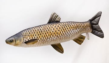 Antylaergiczna PODUSZKA Amur 75 cm