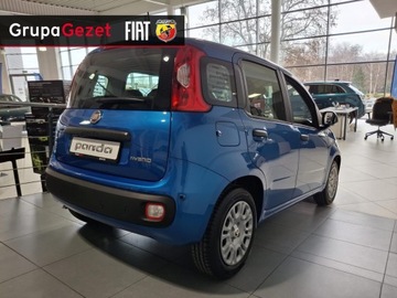 Fiat Panda III Hatchback 5d seria 5 1.0 GSE 70 KM 70KM 2025 Fiat Panda Pandina 5 miejsc Wyprzedaż opony zima, zdjęcie 3