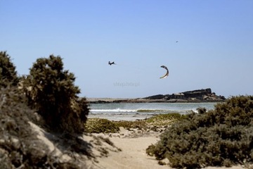 Дуотон Эво Д/ЛАБ 2024