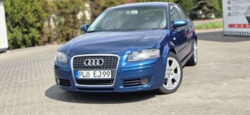Audi A3 8P Hatchback 3d 1.9 TDI 105KM 2004 Audi A3 Sportback 1,9TDI 105 KM Alu Klima Import Raty Oplaty ASO 1.9, zdjęcie 1