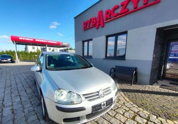 Volkswagen Golf V Hatchback 1.4 i 16V 75KM 2005 Volkswagen Golf 1.4 benz. Import z Niemiec, zdjęcie 1