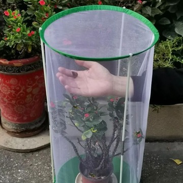 Pojemnik do hodowli Klatka do hodowli motyli