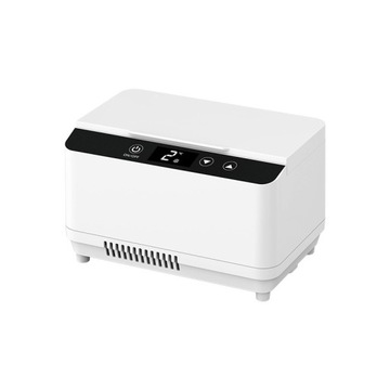 Car Insulin Refrigerated Box Refrigerator