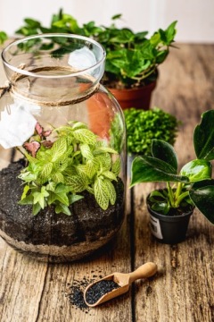 Гранулированный активированный уголь для растений субстратная добавка 2 л