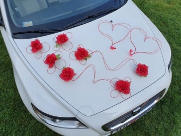 Живописное украшение автомобиля Украшение автомобиля ПЕРО