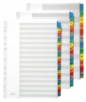 ЦИФРОВЫЕ ВСТАВКИ ДЛЯ ФАЙЛОВ A4 1-31 ЦВЕТ