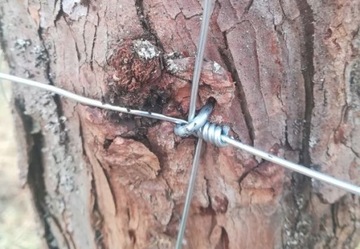 Лесная сетка - 120/13/10 М - 25 м