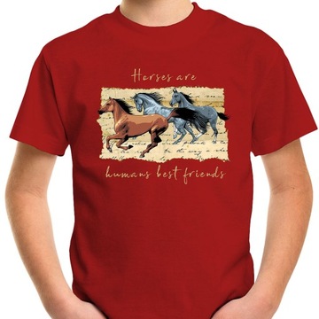 T-SHIRT KOSZULKA DLA DZIECKA KONIE 128 SUPER JAKOŚĆ