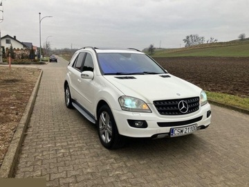 Mercedes Klasa M W164 Off-roader 3.0 V6 (280 CDI) 190KM 2006 Mercedes ML280 3.0 CDI 4Matic 7G-TRONIC 190KM 2006r, zdjęcie 36