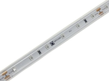 TAŚMA 24V LED 300 SMD 2835 4,8W IP68 10mm Czerwony