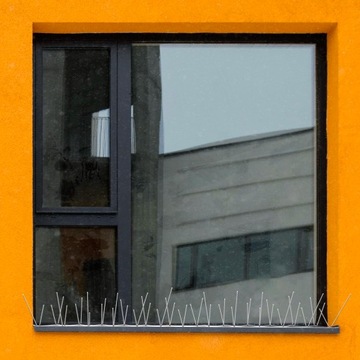 WYSOKIE SZEROKIE I GĘSTE MOCNE KOLCE NA PTAKI GOŁĘBIE | NIERDZEWNE 40x18cm