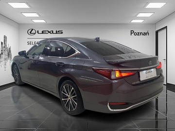 Lexus ES VII (XV70) Sedan Facelifting 300h 218KM 2024 Lexus ES 300h Business Edition, zdjęcie 8