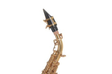 Изогнутый сопрано-саксофон Roy Benson SG-302