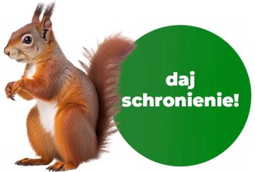 ДОМИК ДЛЯ БЕЛКИ, КОРМУШКА - из дерева. легкая сборка - 3 цвета