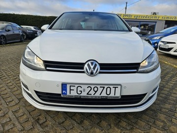 Volkswagen Golf VII Hatchback 3d 1.4 TSI BlueMotion Technology 125KM 2016 Volkswagen Golf 1,4 benzyna 125KM Highline, zdjęcie 14