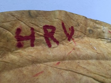 TLUMENÍ PODPOŘÍ HONDA HRV HR-V II