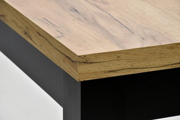 МАССИВНЫЙ СТОЛ-ЛОФТ 100/200 - 290