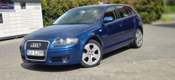 Audi A3 8P Hatchback 3d 1.9 TDI 105KM 2004 Audi A3 Sportback 1,9TDI 105 KM Alu Klima Import Raty Oplaty ASO 1.9, zdjęcie 3
