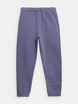 ДЕТСКИЕ СПОРТИВНЫЕ БРЮКИ 4F ДЛЯ МАЛЬЧИКОВ, ХЛОПОК AW23M419