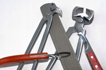 Профессиональный коррекционный комплект копыта