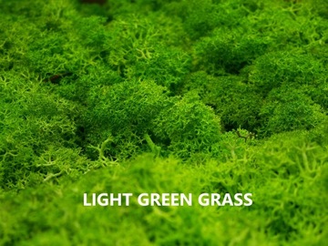 Мох оленьего краба 500г НЕТТО 15 цветов