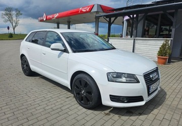 Audi A3 8P Hatchback 3d 1.6 TDI 90KM 2010