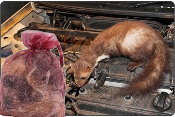 Отпугиватель куницы KUNAGONE для автомобиля и дома 4 шт.