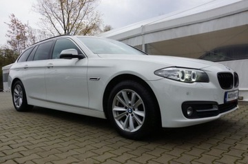 BMW Seria 5 F10-F11 Limuzyna 520d 184KM 2014 BMW Seria 5 2.0 Diesel 184 KM, 4x4, Automat, Lift, Skora, Biksneon, Hak, G, zdjęcie 9