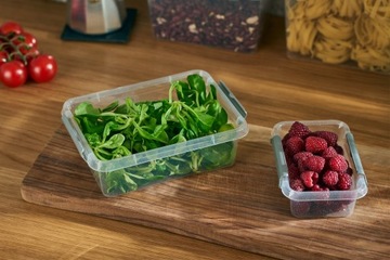 Антибактериальный контейнер-органайзер с крышкой