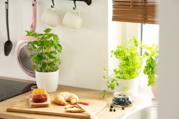 COMPO BIO 100% НАТУРАЛЬНЫЕ ЗЕМЛЯНЫЕ ТРАВЫ МЯТА БАЗИЛИК ОРЕГАНО КОРАНДР ЛЕМИС