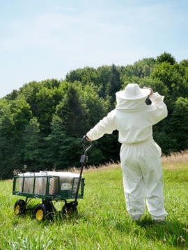 30Л СОТОВЫЙ КОНТЕЙНЕР ДЛЯ РАМ В ВЕЛИКОЙ ПОЛЬШЕ