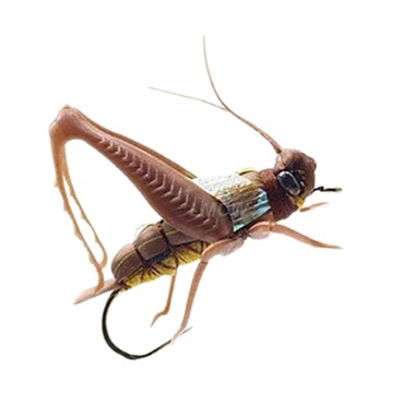 Искусственная коричневая рыбалка приманка