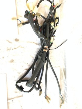 Жгут проводов Aprilia Red Rose 125