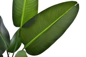 ИСКУССТВЕННЫЕ РАСТЕНИЯ ЦВЕТЫ ЛИСТ ЛИСТЬЯ УКРАШЕНИЕ КОМПОЗИЦИЯ ДЕРЕВО ЦВЕТОЧНЫЙ ГОРШОК