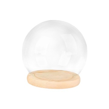 With Base Transparent 12cm Wood Base