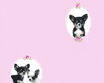 TAPETA PIESKI CHIHUAHUA RÓŻOWA BIAŁE KROPKI DZIECI