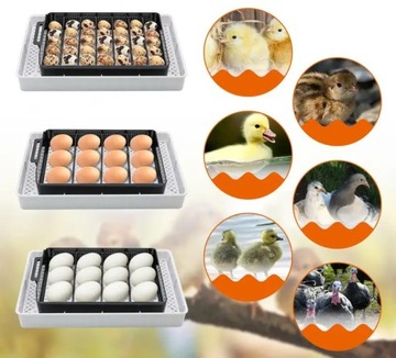 ИНКУБАТОР ДЛЯ ЯИЦ АВТОМАТИЧЕСКИЙ ИНКУБАТОР НА 12 ЯИЦ