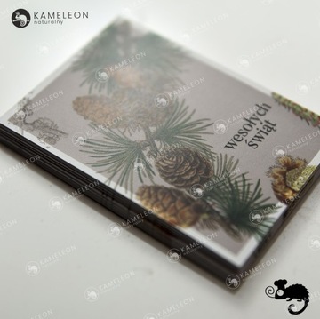 Рождественский ПОДАРОЧНЫЙ БИЛЕТ Рождественская открытка СОСНА И ШИШКИ 7x10 x1