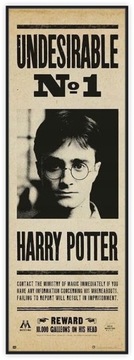 Гарри Поттер Нежелательно постер постер 53x158