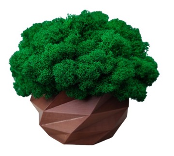 Doniczka z mchem chrobotkiem MECH CHROBOTEK w doniczce brązowa druk 3d