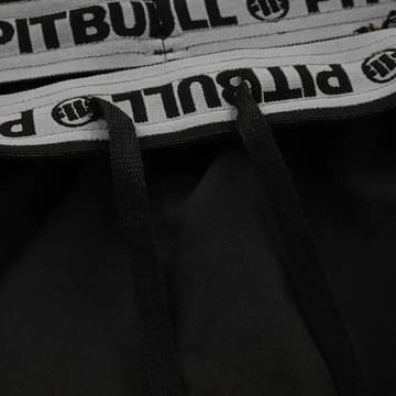 Мужские спортивные шорты Pitbull Performance Pro plus Small Logo II