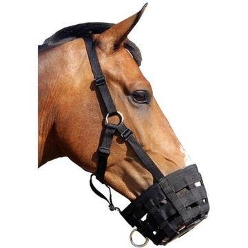 QHP Kaganiec [R: Pony]