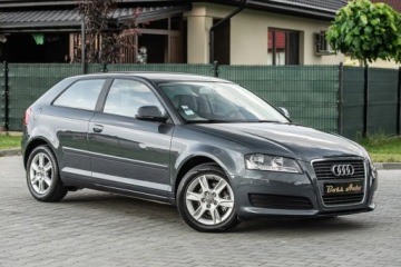 Audi A3 8P Hatchback 3d 1.6 TDI 105KM 2010 Audi A3 3-drzwiowe 1.6TDI 105KM DsG Skora Climatron Alu Po Serwisie Gwaran, zdjęcie 1