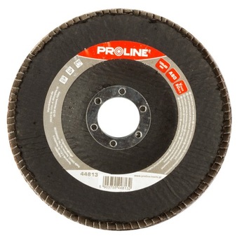 PROLINE ŚCIERNICA LISTKOWA TALERZOWA 125MM A120